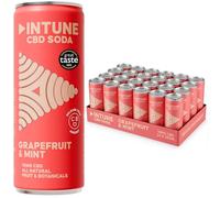 INTUNE Grapefruit & Mint Sparkling CBD Drink |Natural & Vegan | Low Calorie Drink | CBD Infused Soft Drink | CBD can | 24 x 250ml Cans