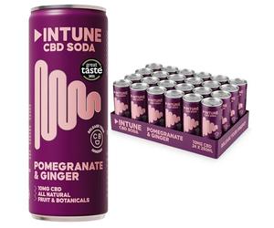 INTUNE Pomegranate & Ginger Sparkling CBD Drink | Natural & Vegan | Low Calorie Drink | CBD Infused Soft Drink | CBD can | 24 x 250ml Cans