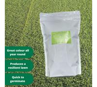 Inturf Lawn Seed 1Kg Bag Suitable For Home Gardens And Sports Grounds, General Purpose Grass Seed