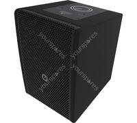 Intusonic IntuCab 6FP100T-W / 6.5'' - 8 ohm Speaker White 80W