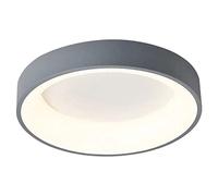 INUNT Led Lights for Bedroom,Modern LED Ceiling Light,Circular Ceiling Light,Stepless Dimming, Remote Control Switch,for Bedroom Living Room Dining Room Laundry。(Without Batteries) (Size : 30cm)