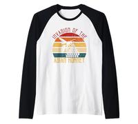 Invasion of The Asian Hornet Beehive Bees Vintage Sunset Raglan Baseball Tee