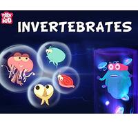 Invertebrates The Dr. Binocs Show Educational Videos For Kids
