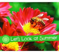 Investigate the Seasons: Let's Look at Summer