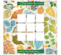 Invicta Education IP197320 Tree Science Class Quadrat, Leaves Design