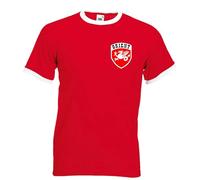 Invicta Screen Printers Brentford Football 1889 The Bees Middlesex Retro Soccer T-Shirt Adult Unisex Red Top (UK, Alpha, L, Regular, Regular, red)