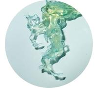Invincible Nature Ep [VINYL]