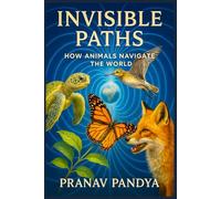 Invisible Paths: How Animals Navigate the World