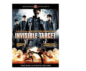 Invisible Target by Lisa Lu