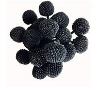 INVISIKAYAK Craspedia globosa Material Flower Immortal Eternal Flowers Gift (black, 40pcs)