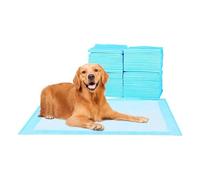 Invoey 40Pcs/Pack Ultra Absorbent Pet Diaper Pads For Dogs &Cats 60 * 60Cm Disposable Odor-Control Puppy Pee Mats