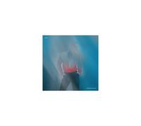 INVSN: LET THE NIGHT LOVE YOU - LP vinyl BRAND NEW