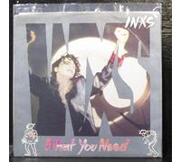 Inxs - What You Need