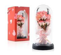 INYPTROPIC Preserved Flowers Gifts for Her Mom Women, Forever Roses Fresh Flowers for Delivery, Light Up Red Rose in A Glass Dome Valentines Mothers Day Birthday Gifts for Grandma Wife Sister (Pink)