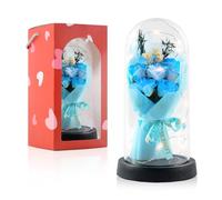 INYPTROPIC Preserved Flowers Gifts for Her Mom Women, Forever Roses Fresh Flowers for Delivery, Light Up Red Rose in A Glass Dome Valentines Mothers Day Birthday Gifts for Grandma Wife Sister (Blue)