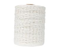 Ioensy 984ft Raffia Paper Yarn Twine Cord String for Gift Wrapping Projects Box Weaving Thread, White