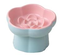 Ioensy Elevated Cat Bowl, Promoting Uterine Health, Anti-Tip Ceramic Food Dispenser, Suitable for Use, Pink Blue