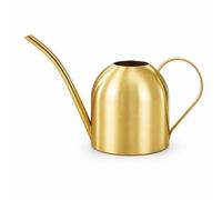 Ioensy Metal Watering Can With Rust Resistant Stainless Steel Body And Ergonomic Grip Handle For Indoor Plants And Small Potted Flowers Suitable For Daily Watering Tasks, Gold, 500ML
