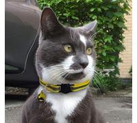 IOIUSKKU 8pieces Durable Adjustable Cat Collar With Safety Features Unique And Lovely Reflective Breakaway Cat Reflective Collars