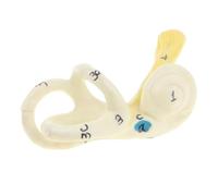 IOIUSKKU Magnification 5X Ear Cochlea Models Human Ear Model Displaying and Explaining to Students Better Understanding of Human Semicircular Canal Labyrinth Structure