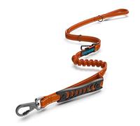 IOKHEIRA Bungee Leads with Car Seat Belt Buckle, Reflective Thread with Traffic Control Handle, Adjustable Dog Leash for Small to Large Dogs