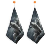 IOLVSHGH 2PCS Kitchen Hand Towel 2PCS Absorbent Microfiber Cleaning Cloth Super Soft Hand Towels with Hanging Loop Funny Dish Towels for Kitchen Decor Tea Towel Fast Drying Cleaning Cloths