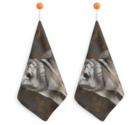 IOLVSHGH 2PCS Kitchen Hand Towel 2PCS Absorbent Microfiber Cleaning Cloth Super Soft Hand Towels with Hanging Loop Funny Dish Towels for Kitchen Decor Tea Towel Fast Drying Cleaning Cloths