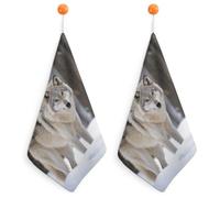 IOLVSHGH 2PCS Kitchen Hand Towel 2PCS Absorbent Microfiber Cleaning Cloth Super Soft Hand Towels with Hanging Loop Funny Dish Towels for Kitchen Decor Tea Towel Fast Drying Cleaning Cloths