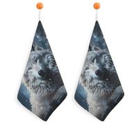 IOLVSHGH 2PCS Kitchen Hand Towel 2PCS Absorbent Microfiber Cleaning Cloth Super Soft Hand Towels with Hanging Loop Funny Dish Towels for Kitchen Decor Tea Towel Fast Drying Cleaning Cloths