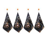 IOLVSHGH 4PCS Kitchen Hand Towel 4PCS Absorbent Microfiber Cleaning Cloth Super Soft Hand Towels with Hanging Loop Funny Dish Towels for Kitchen Decor Tea Towel Fast Drying Cleaning Cloths