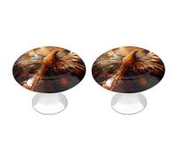 IOLVSHGH Abstract Phoenix Kitchen Cabinet Knobs 2 Pack Bathroom Drawer Pulls Metal Dresser Knobs with Screw Cabinet Hardware Round Cabinet Handles for Cupboard Closet Bifold Door