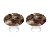 IOLVSHGH African Lion and Lioness Kitchen Cabinet Knobs 2 Pack Bathroom Drawer Pulls Metal Dresser Knobs with Screw Cabinet Hardware Round Cabinet Handles for Cupboard Closet Bifold Door