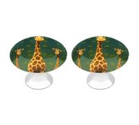IOLVSHGH Cartoon Giraffe Kitchen Cabinet Knobs 2 Pack Bathroom Drawer Pulls Metal Dresser Knobs with Screw Cabinet Hardware Round Cabinet Handles for Cupboard Closet Bifold Door