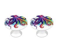IOLVSHGH Colorful Octopus Kitchen Cabinet Knobs 2 Pack Bathroom Drawer Pulls Metal Dresser Knobs with Screw Cabinet Hardware Round Cabinet Handles for Cupboard Closet Bifold Door