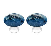 IOLVSHGH Cute Dolphins Kitchen Cabinet Knobs 2 Pack Bathroom Drawer Pulls Metal Dresser Knobs with Screw Cabinet Hardware Round Cabinet Handles for Cupboard Closet Bifold Door