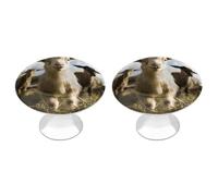 IOLVSHGH Cute Goat Kitchen Cabinet Knobs 2 Pack Bathroom Drawer Pulls Metal Dresser Knobs with Screw Cabinet Hardware Round Cabinet Handles for Cupboard Closet Bifold Door