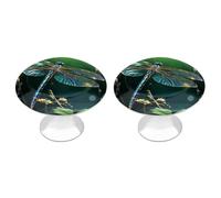 IOLVSHGH Dragonfly Green Kitchen Cabinet Knobs 2 Pack Bathroom Drawer Pulls Metal Dresser Knobs with Screw Cabinet Hardware Round Cabinet Handles for Cupboard Closet Bifold Door