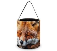 IOLVSHGH Funny Fox Sleeping Halloween Tote Bag Reusable Treat Bags with Handles Large Goodie Candy Bags Snack Tote Treat Bucket for Gifts Wrapping Holiday Easter Party Favor Supply
