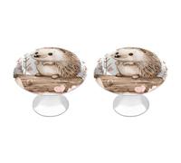 IOLVSHGH Hedgehog Sitting on Top Kitchen Cabinet Knobs 2 Pack Bathroom Drawer Pulls Metal Dresser Knobs with Screw Cabinet Hardware Round Cabinet Handles for Cupboard Closet Bifold Door