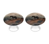 IOLVSHGH Horse Grazing on The Mountain Kitchen Cabinet Knobs 2 Pack Bathroom Drawer Pulls Metal Dresser Knobs with Screw Cabinet Hardware Round Cabinet Handles for Cupboard Closet Bifold Door