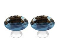 IOLVSHGH Lovely Sea Otter Print Kitchen Cabinet Knobs 2 Pack Bathroom Drawer Pulls Metal Dresser Knobs with Screw Cabinet Hardware Round Cabinet Handles for Cupboard Closet Bifold Door