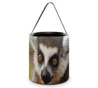 IOLVSHGH Monkey Lemur Cute Halloween Tote Bag Reusable Treat Bags with Handles Large Goodie Candy Bags Snack Tote Treat Bucket for Gifts Wrapping Holiday Easter Party Favor Supply