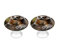 IOLVSHGH Monkey Lemur Cute Kitchen Cabinet Knobs 2 Pack Bathroom Drawer Pulls Metal Dresser Knobs with Screw Cabinet Hardware Round Cabinet Handles for Cupboard Closet Bifold Door