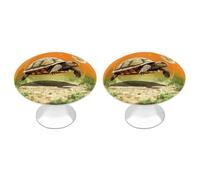 IOLVSHGH Tortoise Turtle Jumping Kitchen Cabinet Knobs 2 Pack Bathroom Drawer Pulls Metal Dresser Knobs with Screw Cabinet Hardware Round Cabinet Handles for Cupboard Closet Bifold Door