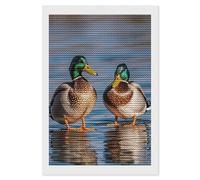 IOLVSHGH Two Mallard Ducks 5D Diamond Art Kits for Adults Beginners Cute Diamond Painting Kit DIY Full Drill Diamond Dots Paintings Crystal Rhinestones Gem Art Crafts for Home Wall Decor Gifts 8X12