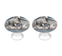 IOLVSHGH White Horse Running on The Sea Kitchen Cabinet Knobs 2 Pack Bathroom Drawer Pulls Metal Dresser Knobs with Screw Cabinet Hardware Round Cabinet Handles for Cupboard Closet Bifold Door