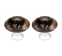 IOLVSHGH Wild Boar Photos Kitchen Cabinet Knobs 2 Pack Bathroom Drawer Pulls Metal Dresser Knobs with Screw Cabinet Hardware Round Cabinet Handles for Cupboard Closet Bifold Door