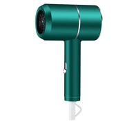 Ion Hair Dryer Silent Hair Dryer With Fast Drying Cooling Heating And 2 Speed Suitable For Women And Children