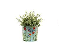 Iona Buchanan Meadow Fabric Eco Pots - 9L - Green