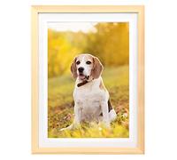 IOOSTAR 12x16 Diamond Painting Picture Frame Display Pictures 10 x 14 inch/25x35 cm with Mat or 12 x 16 inch/30x40 cm Without Mat Photo Frames Diamond Art Frame Solid Wood Color (YNCK0021)